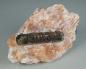 Preview: Fluorapatite XL